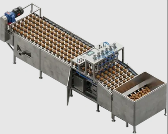 Coconut water processing